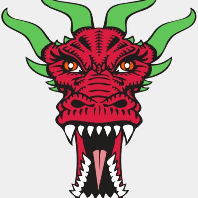 BAW DRAGON 09 RC Thumbnail