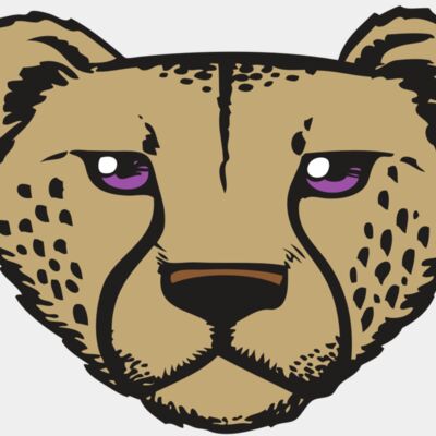 BAW CHEETAH 14 RC Thumbnail