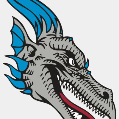 BAW DRAGON 07 RC Thumbnail