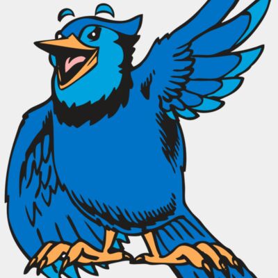 BAW BLUEJAY 06 RC Thumbnail