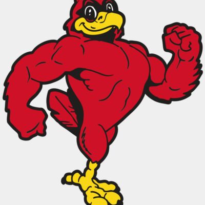 AR CARDINAL 41 RC Thumbnail