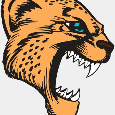 BAW CHEETAH 11 RC Thumbnail