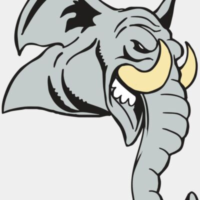 AR5 Elephant 12 RQC Thumbnail