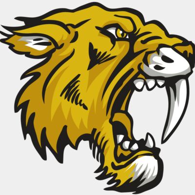 AR30 SABER 03 RQC Thumbnail