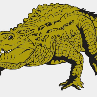 Gators Thumbnail