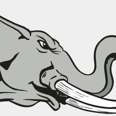 Elephants Thumbnail