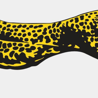 Cheetahs Thumbnail