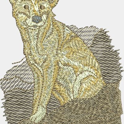 Dingo Thumbnail