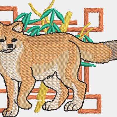 Dhole Thumbnail