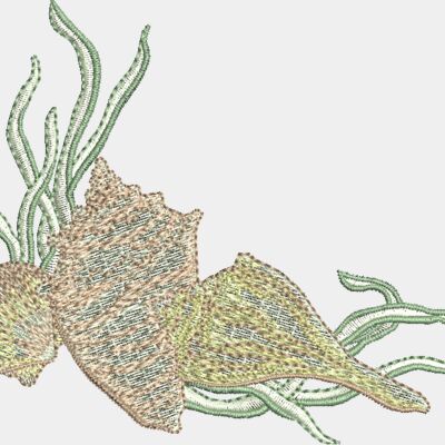 Seashells Thumbnail
