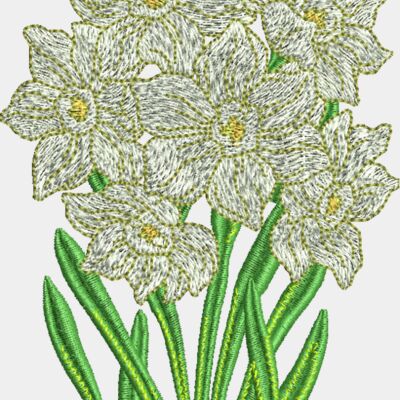 Daffodils Thumbnail