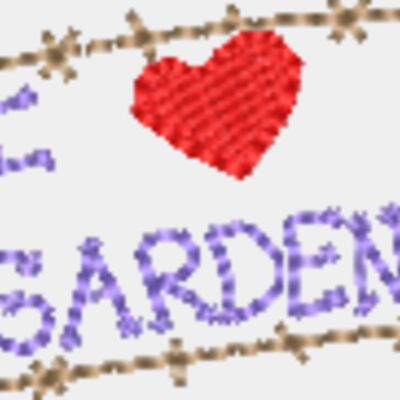 Signs Thumbnail
