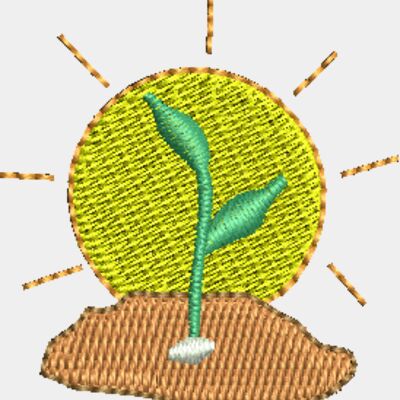 Seeds Thumbnail